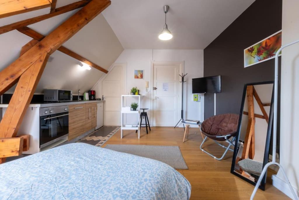 Saint -louis 3 -centre Ville-studette Gien